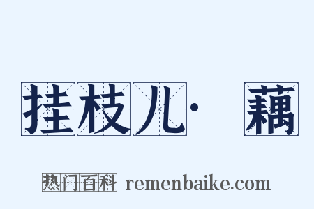 挂枝儿·藕是什么意思的图片